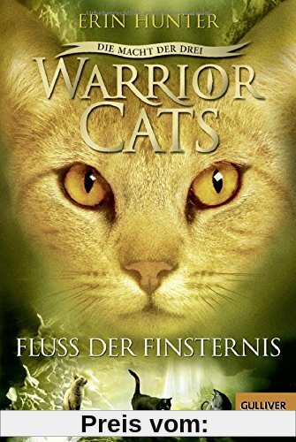 Warrior Cats - Die Macht der Drei. Fluss der Finsternis: III, Band 2
